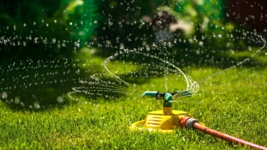 Best Time To Water Grass | 10 Amazing Things To Know