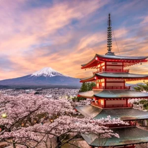 Best Time To Visit Japan | Good & Worst Seasons, Months