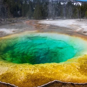 Best Time To Visit Yellowstone | Good Time For Tours & Holidays