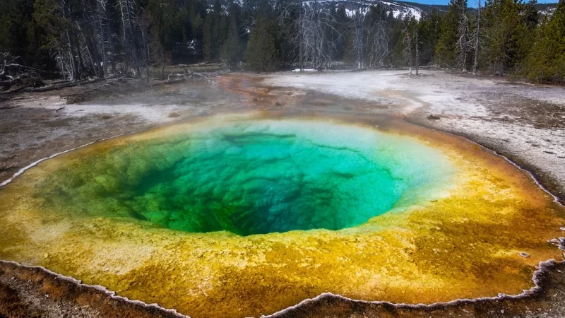 Best Time To Visit Yellowstone | Good Time For Tours & Holidays