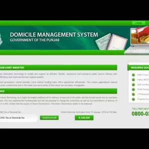 How To Make Domicile Certificate Online Punjab? Complete Guide